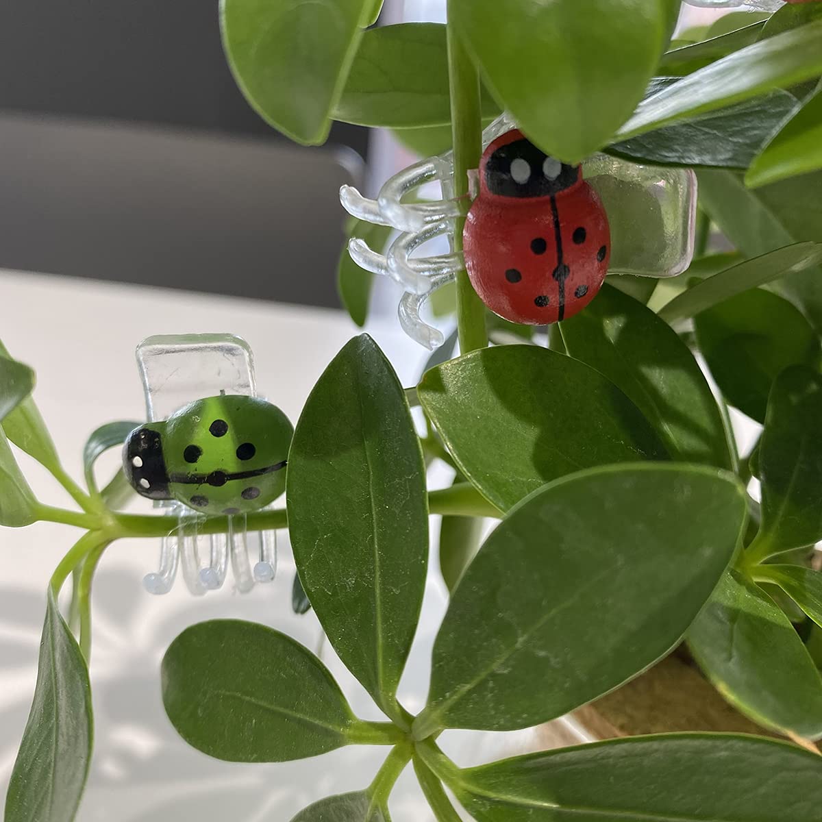 cozyou non-toxic plastic clip for safe garden use