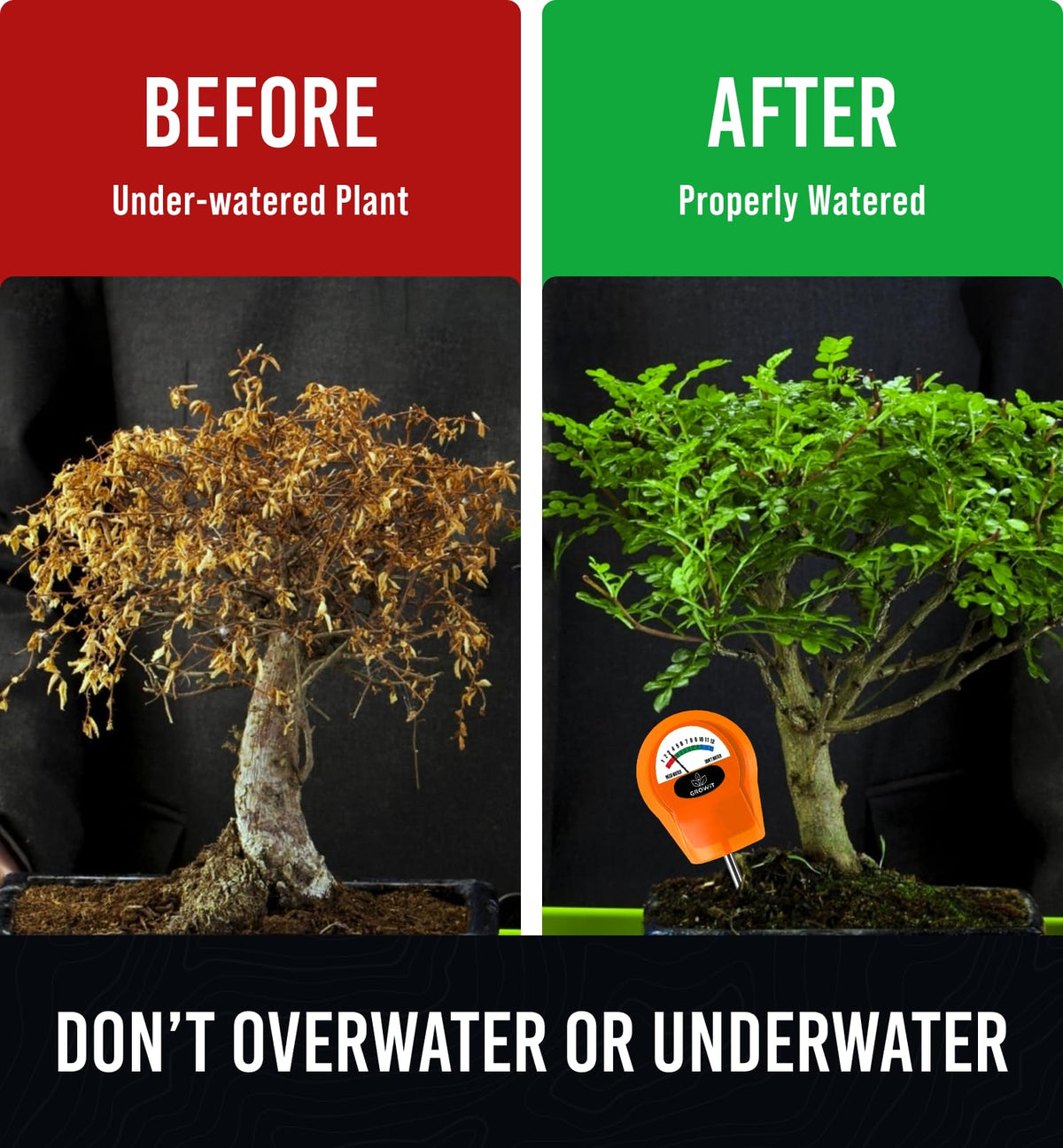 Craft911 GROWIT used indoors and outdoors for versatile plant care.
