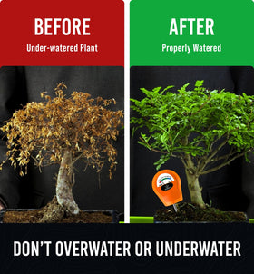 Craft911 GROWIT used indoors and outdoors for versatile plant care.