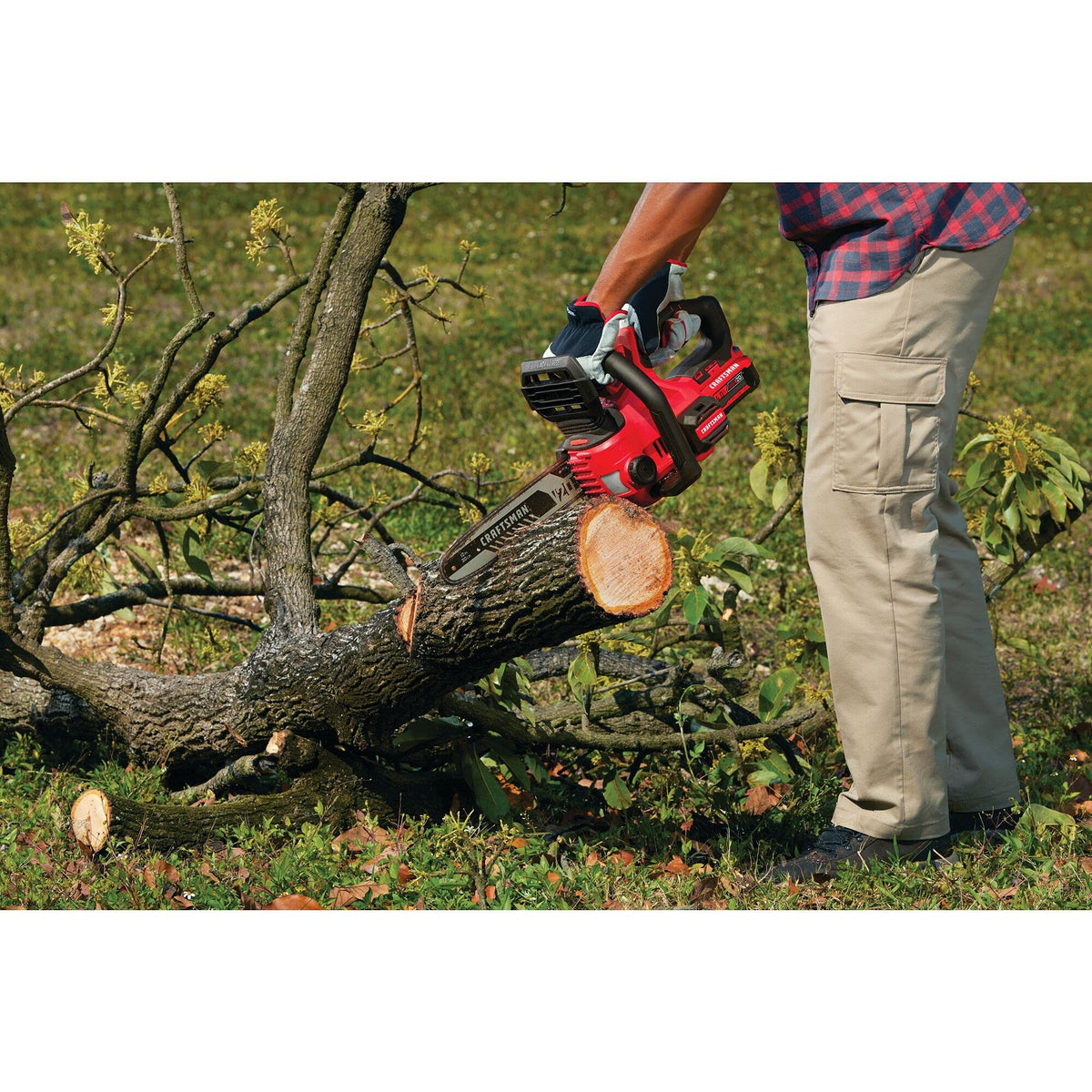Compact design of CRAFTSMAN V20 mini chainsaw fits between branches.