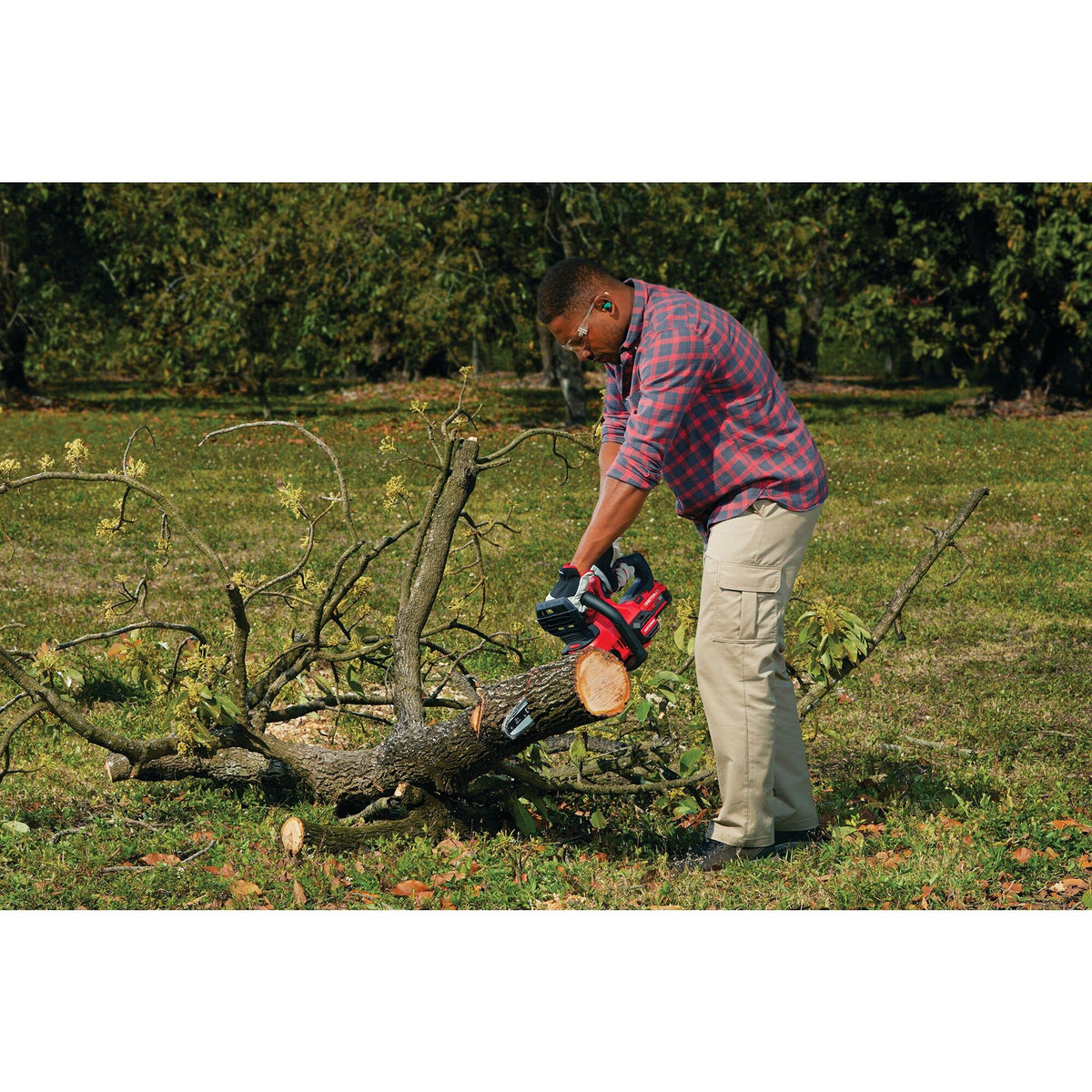Cordless portability of CRAFTSMAN V20 mini chainsaw for pruning anywhere.