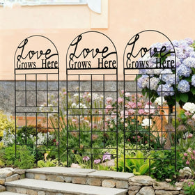 CraftyDream climbing plant support for roses, cucumbers, and grapevines.