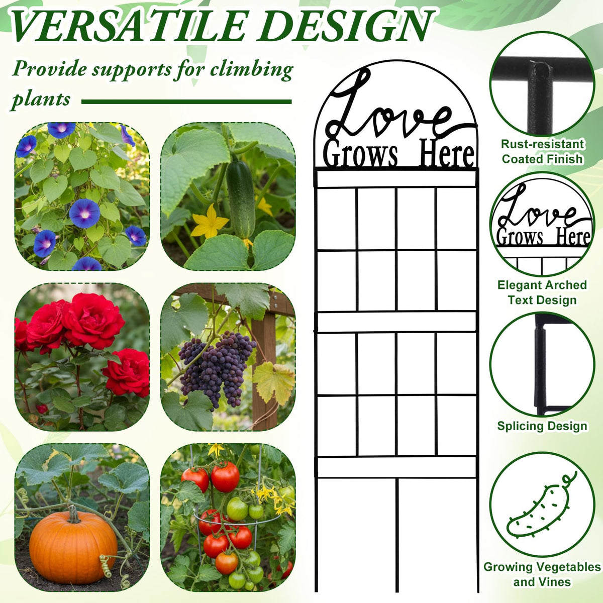 CraftyDream vertical garden divider helps create privacy while displaying vines.