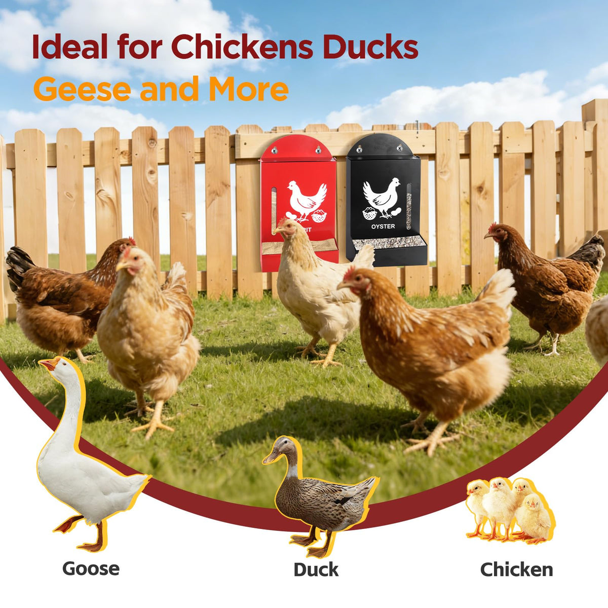 Crazydeer outdoor-ready design endures weather and hens.