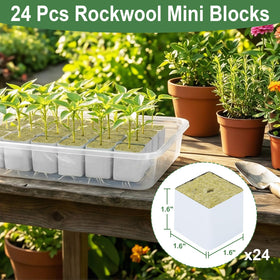 CrazyTerra Rockwool Cubes 1.5 inch ideal for cloning with healthy roots