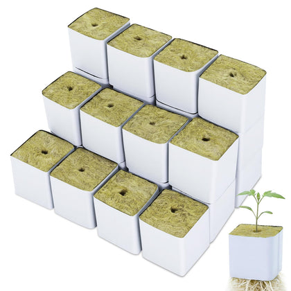 CrazyTerra Rockwool Cubes 1.5 inch seed starting for reliable germination