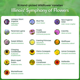 Created By Nature 16-variety mix blooms in a close-up display showcasing color diversity.