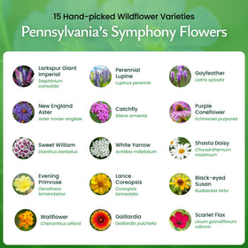Created By Nature 50k seeds USA-sourced wildflower blend for reliable germination.