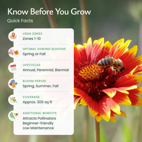 Created By Nature Arizona Wildflower Seed Mix garden setup for easy sowing