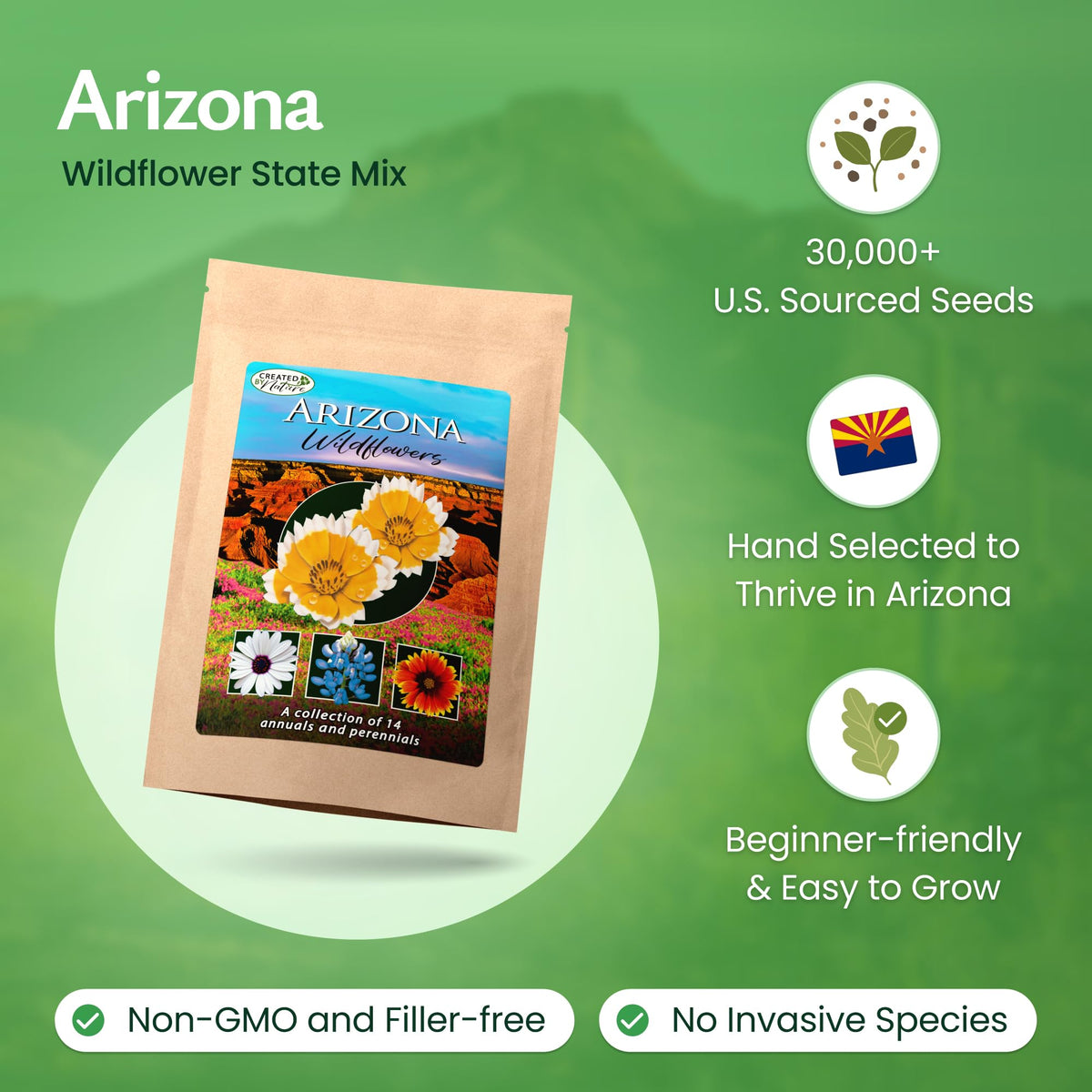 Created By Nature Arizona Wildflower Seed Mix painted daisy burst adds cheerful border color