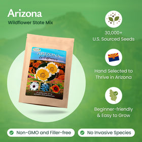 Created By Nature Arizona Wildflower Seed Mix painted daisy burst adds cheerful border color