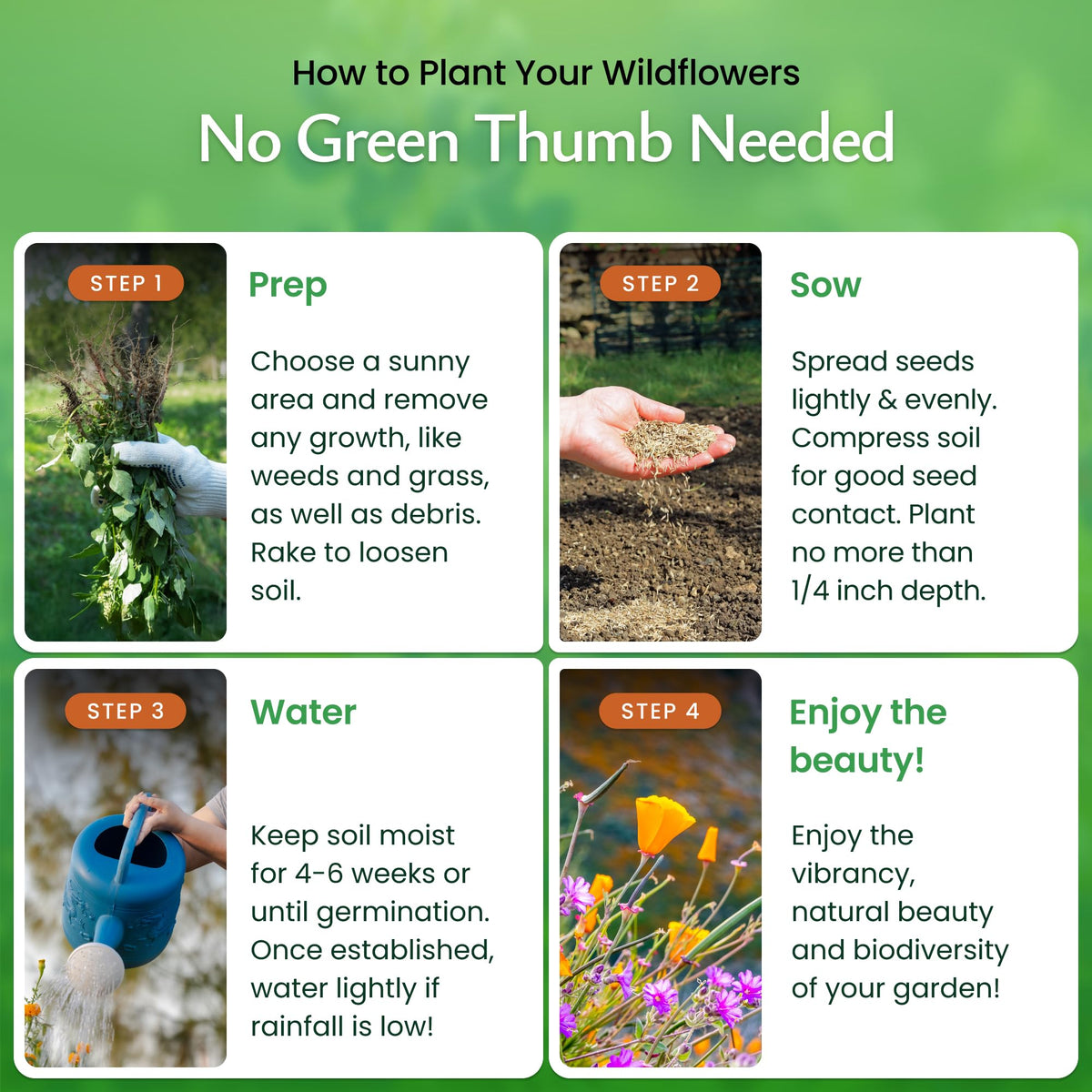 Created By Nature Arizona Wildflower Seed Mix seed packet view highlights premium USA seeds