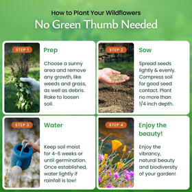 Created By Nature Arizona Wildflower Seed Mix seed packet view highlights premium USA seeds