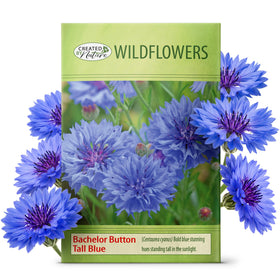 Created By Nature bachelor button tall blue blooms brighten borders and attract pollinators.