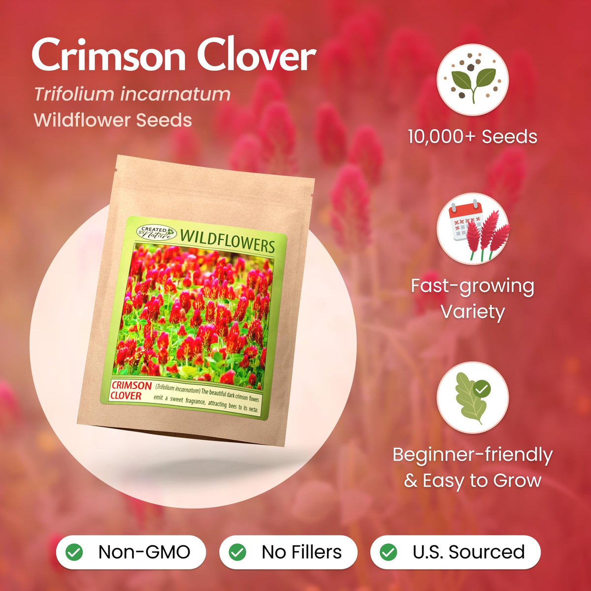 Created By Nature Crimson Clover seeds scattered for spring sowing in sunlit bed