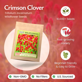 Created By Nature Crimson Clover seeds scattered for spring sowing in sunlit bed