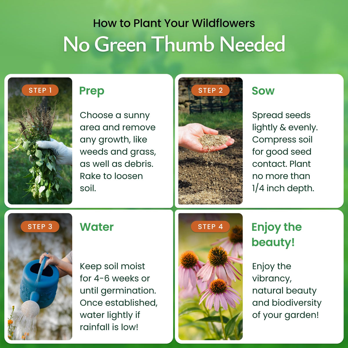 Created By Nature easy-grow Pennsylvania wildflowers, ideal for beginners and busy gardeners.