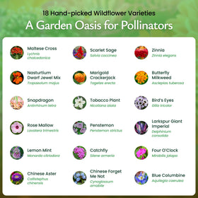 Created By Nature easy-grow seed mix ideal for beginners.