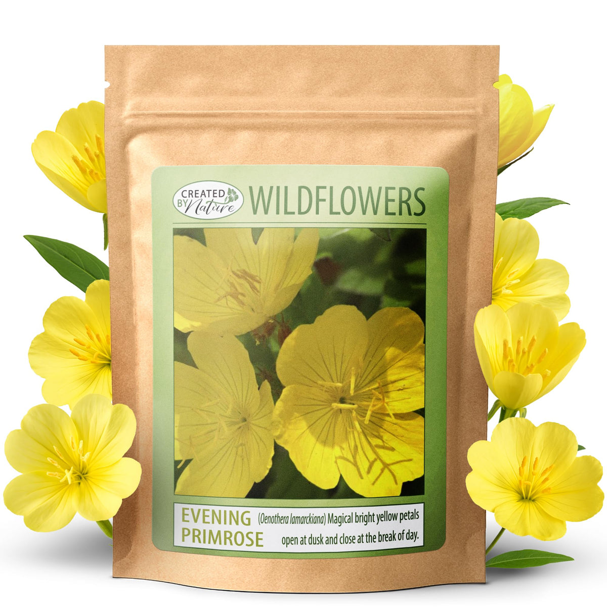 Created By Nature Evening Primrose Seeds pack showing vibrant yellow blooms for sunny borders.