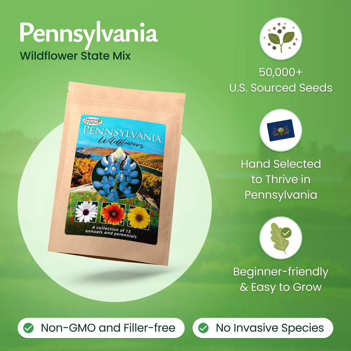 Created By Nature fifteen-varieties wildflower seeds, colorful blooms for year-round appeal.