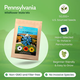 Created By Nature fifteen-varieties wildflower seeds, colorful blooms for year-round appeal.