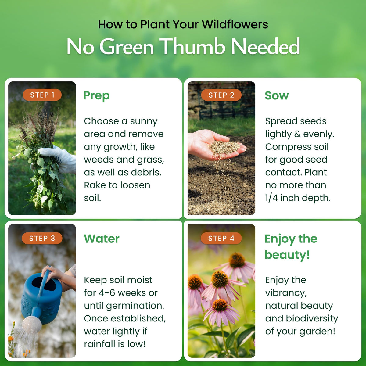 Created By Nature Florida Wildflower Seed Mix blooms attracting bees and butterflies all season.
