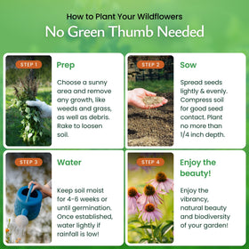 Created By Nature Florida Wildflower Seed Mix blooms attracting bees and butterflies all season.