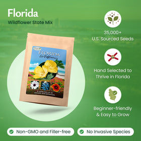 Created By Nature Florida Wildflower Seed Mix garden bed showing easy-to-grow seeds in sunny beds.
