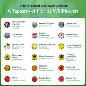 Created By Nature Florida Wildflower Seed Mix germination stage hinting at quick, colorful blooms.