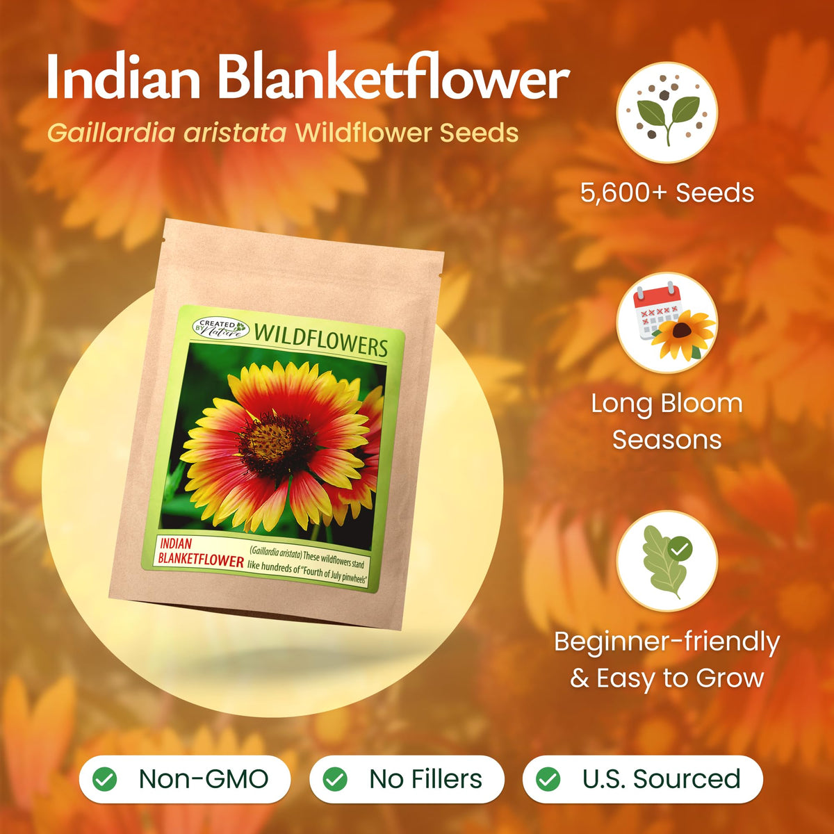 Created By Nature Gaillardia aristata is easy to grow in sun or partial shade