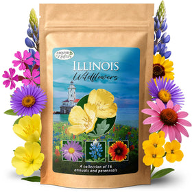 Created By Nature Illinois wildflower seed pack ready for spring planting.