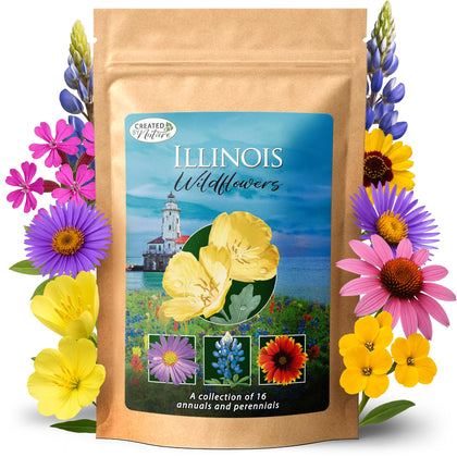 Created By Nature Illinois wildflower seed pack ready for spring planting.