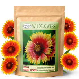 Created By Nature Indian Blanketflower seeds cover 100 sq ft with bold color