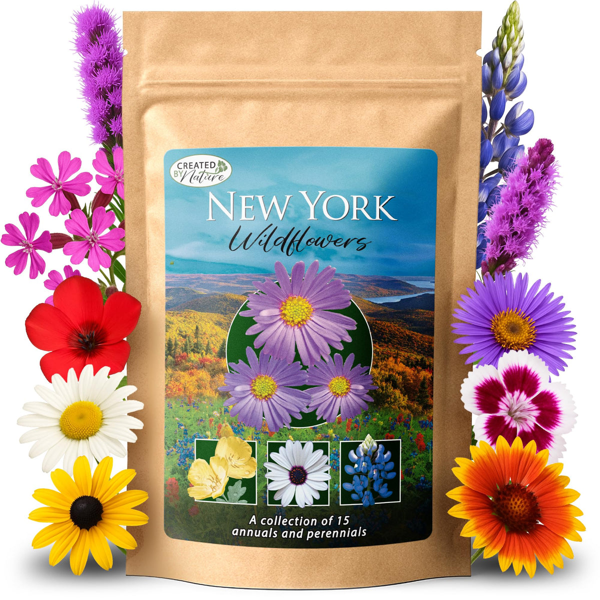Created By Nature New York Wildflower Seed Mix pack with 15 varieties for vibrant blooms