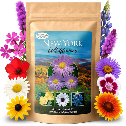 Created By Nature New York Wildflower Seed Mix pack with 15 varieties for vibrant blooms
