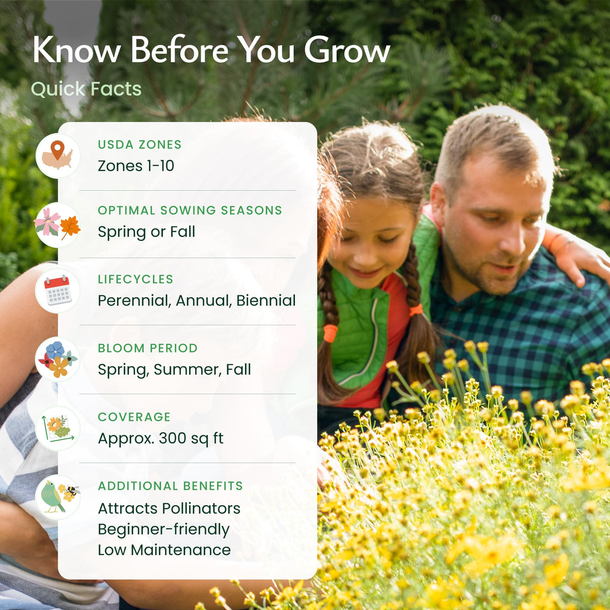 Created By Nature New York Wildflower Seed Mix USA-sourced non-GMO seeds
