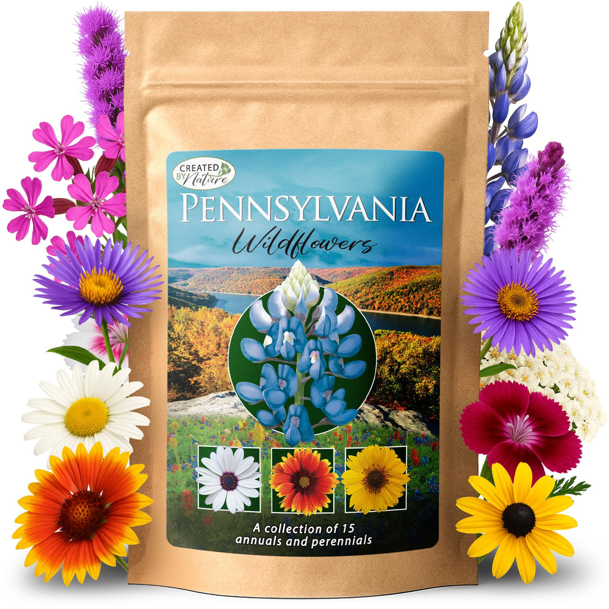 Created By Nature Pennsylvania wildflower seed mix pack, diverse blooms for a pollinator-friendly garden.