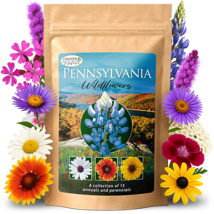 Created By Nature Pennsylvania wildflower seed mix pack, diverse blooms for a pollinator-friendly garden.
