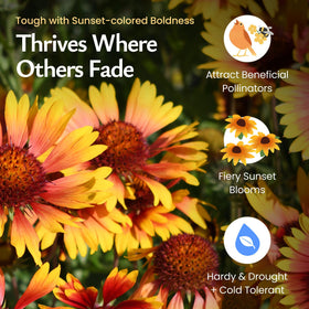 Created By Nature pollinator-friendly wildflowers attract bees and butterflies