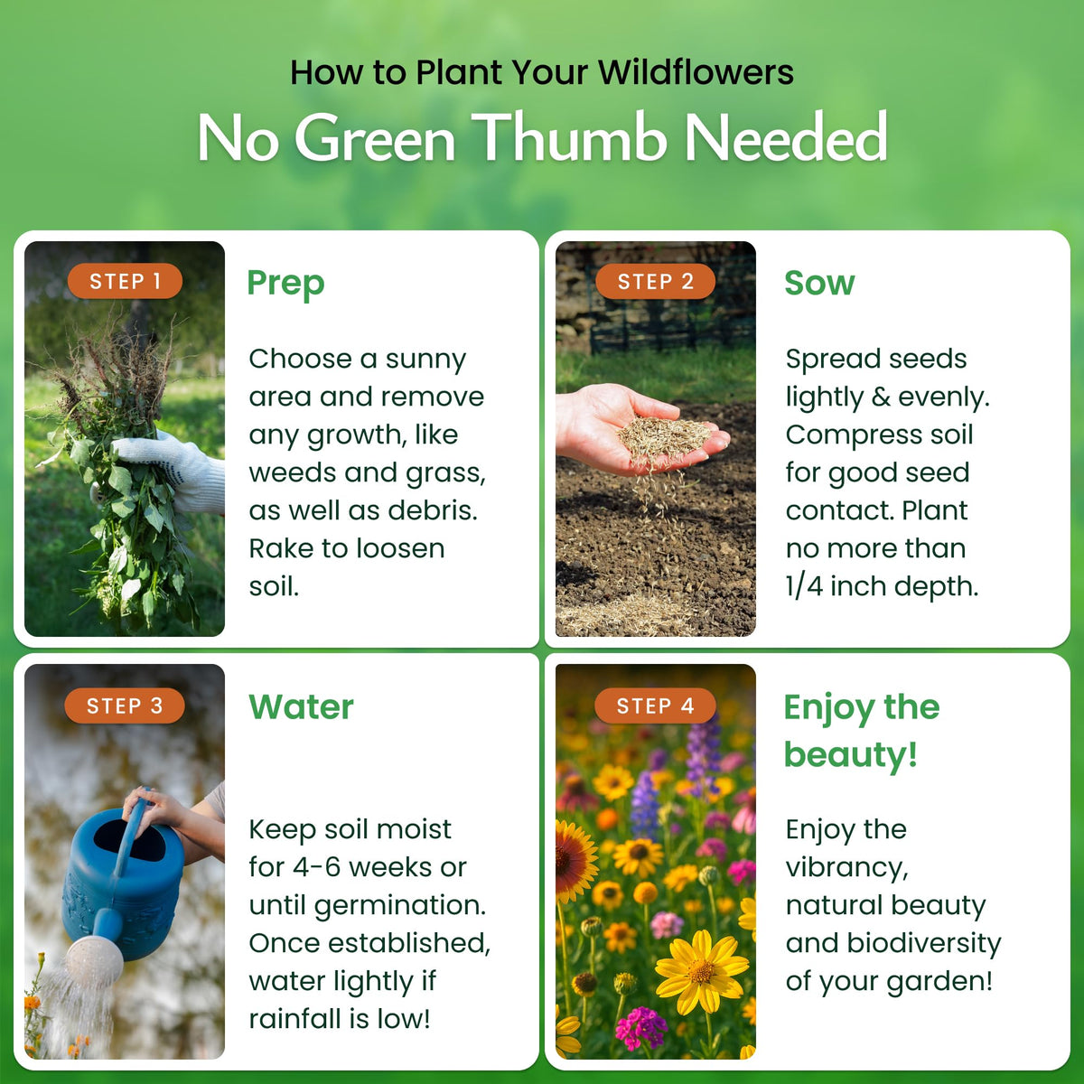 Created By Nature pollinator-friendly wildflowers drawing bees, butterflies, and hummingbirds.