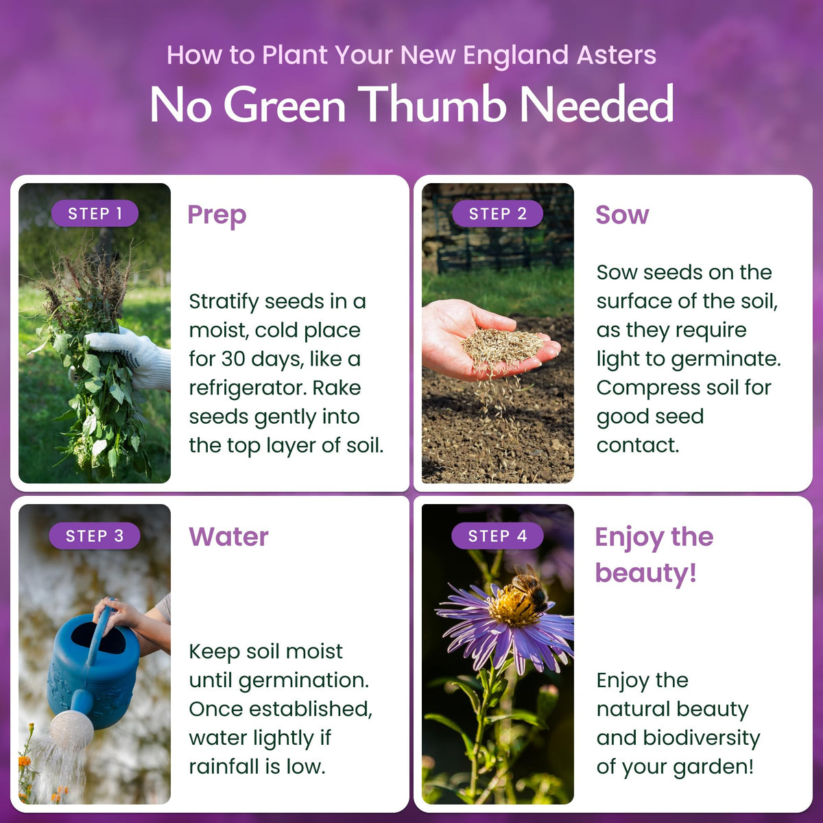 Created By Nature premium non GMO heirloom seeds with high germination potential.