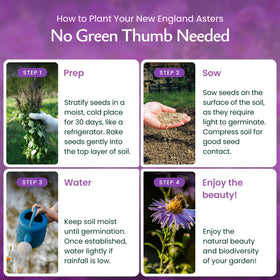 Created By Nature premium non GMO heirloom seeds with high germination potential.