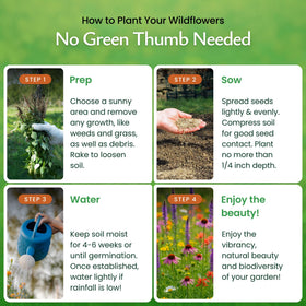 Created By Nature seed bag label USA-grown, non-GMO seeds for quality.