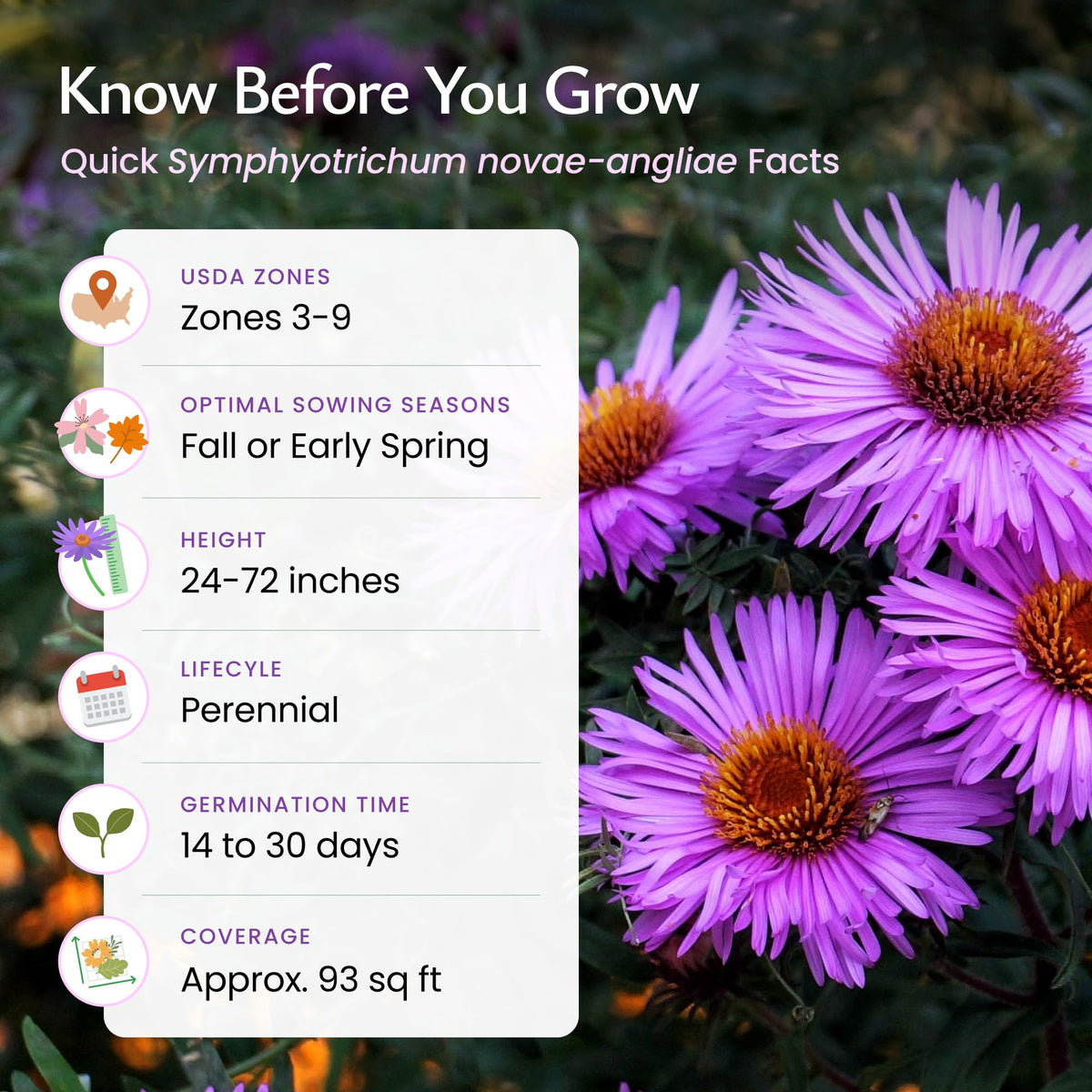 Created By Nature USA grown seeds packaged for quality and reliability.