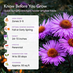 Created By Nature USA grown seeds packaged for quality and reliability.