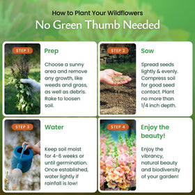 Created By Nature USA-sourced non-GMO seeds ensure quality.