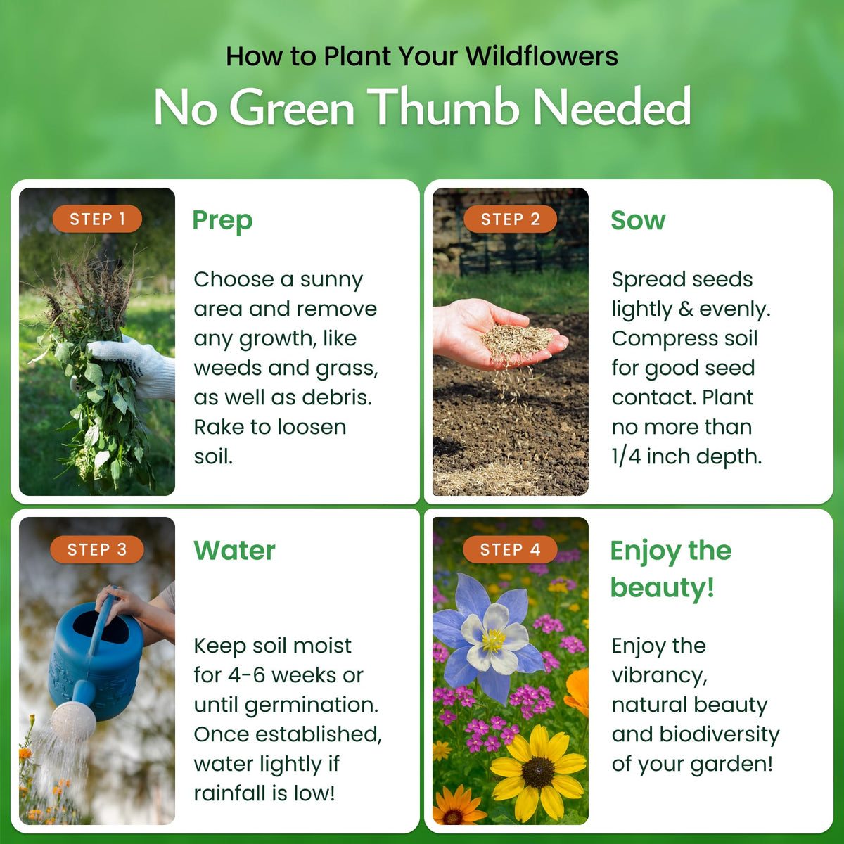 Created By Nature Utah Wildflower Seed Mix blooms in a sunny garden bed, adding color and life.