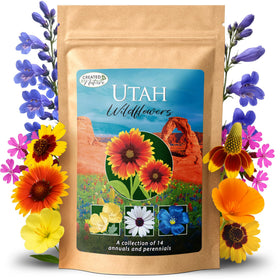 Created By Nature Utah Wildflower Seed Mix packaging shows 14 varieties for a bold, pollinator-friendly garden.