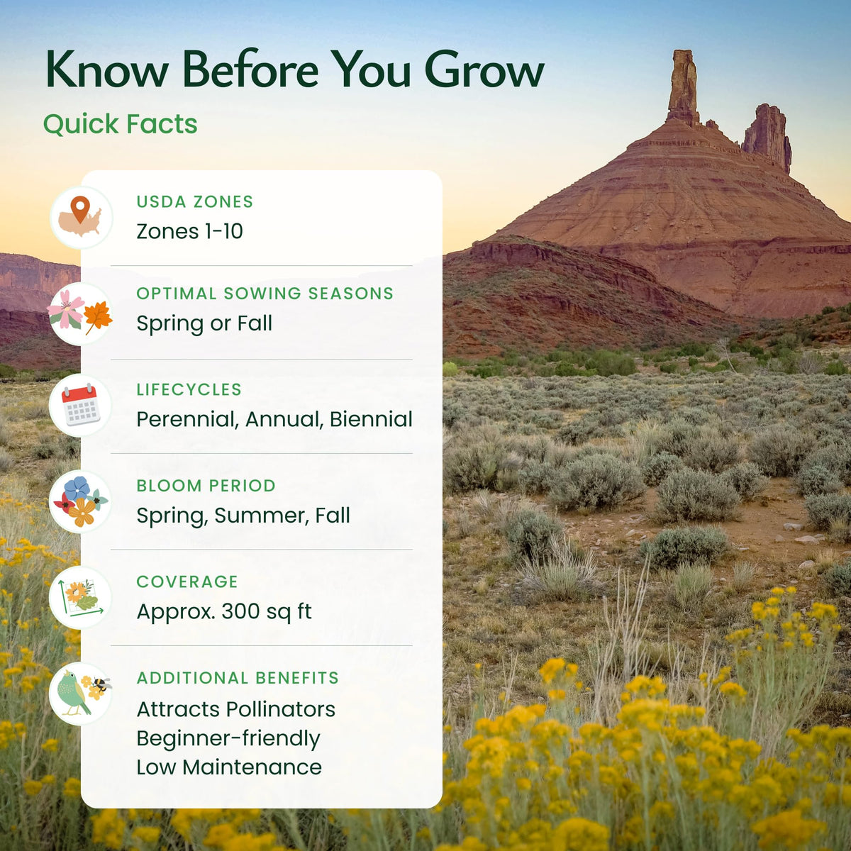 Created By Nature Utah Wildflower Seed Mix attracts bees and butterflies, enriching outdoor spaces.
