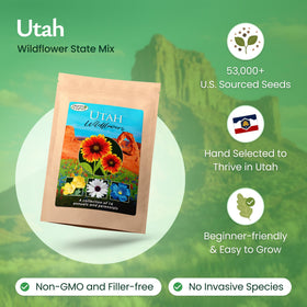 Created By Nature Utah Wildflower Seed Mix sowing guide demonstrates easy planting in sunny spots.